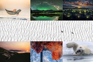 Ένας πλανήτης… έργο τέχνης – Οι νικητές των World Nature Photography Awards για το 2025