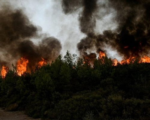 Πίσω από τα κάγκελα για τέσσερα χρόνια 29χρονος που έβαλε φωτιά σε αγροτική περιοχή στη Λάρνακα