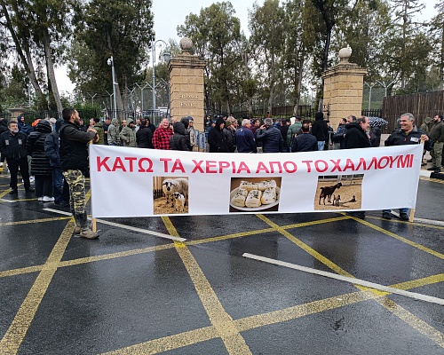 Χαλλούμι ΠΟΠ: Πρόστιμα εκατοντάδων χιλιάδων ευρώ στο νέο νομοσχέδιο (ΒΙΝΤΕΟ)